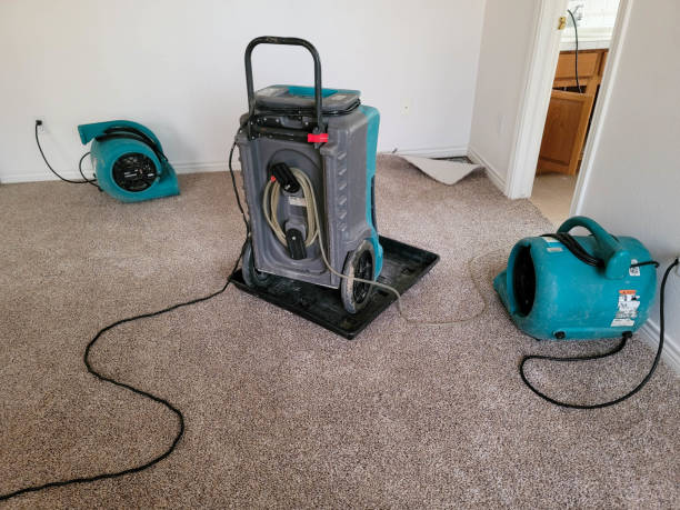 Best Fire Damage Restoration  in Mineral Springs, AR
