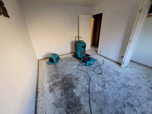 Best Flood damage cleanup  in Mineral Springs, AR