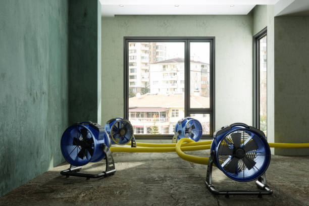 Best Commercial water damage restoration  in Mineral Springs, AR